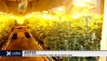 Un gros dealer condamné à trois ans de prison ferme