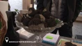 Marché aux truffes de Bonvillars