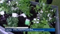C'est Vendredi à La Télé à Jardins en fête