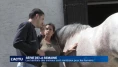 La thérapie avec le cheval apaise et stimule