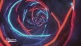 "The end of the Cycle" de Stylidium