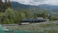 Découvrir - Un train pour les narcisses