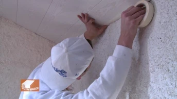 Finitions : Peinture et menuiserie