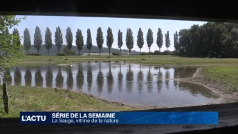 La Sauge: vitrine de la nature