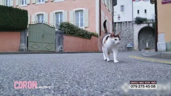 Coronamour: Les rues sont vides