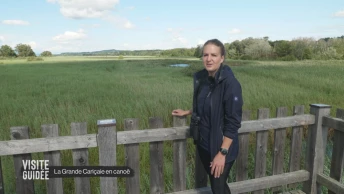 La Grande Cariçaie en canoë