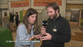 La gruérienne, au cœur du Comptoir - patrimoine