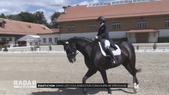 Dans les coulisses d&#039;un concours de dressage