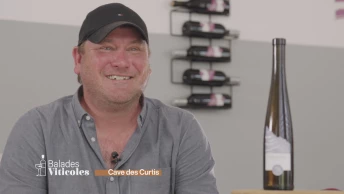 Cave des Curtis