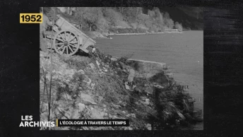 Les Archives - L&#039;écologie à travers le temps