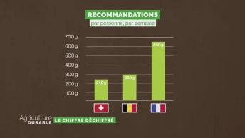 Le chiffre déchiffré - Viande et pyramide alimentaire