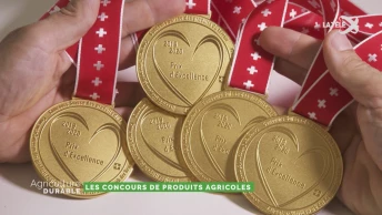 Dossier du mois - Les concours de produits agricoles