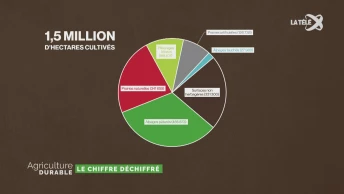 Le chiffre déchiffré - Terres cultivables et affouragement