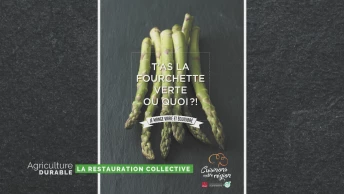 Dossier du mois - La restauration collective