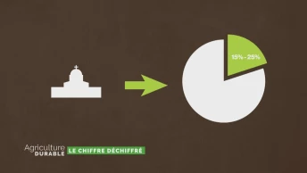 Le chiffre déchiffré - La protection douanière