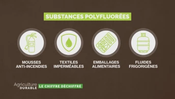 Le chiffre déchiffré - L&#039;agriculture et les PFAS
