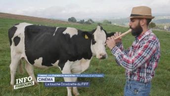Un concours 100% fribourgeois au FIFF