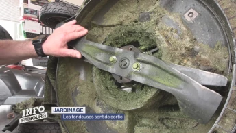 Les tondeuses sont de sortie