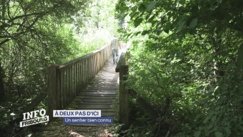 À deux pas d&#039;ici: un sentier bien connu en Veveyse