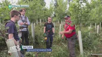 Découvrir le travail en forêt