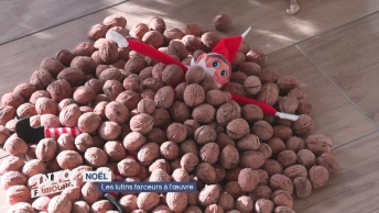 Les lutins farceurs à l’œuvre