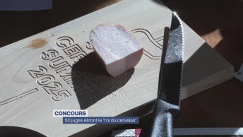 Concours atypique: 50 juges éliront le roi du cervelas