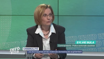 Les escroqueries et les violences domestiques augmentent