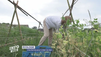La Joubarbe: une ferme pour créer du lien
