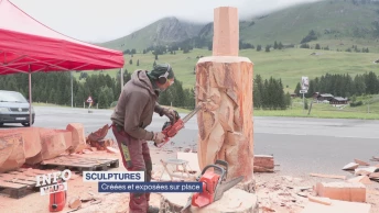 Ailyos, une cinquantaine d&#039;artistes au total