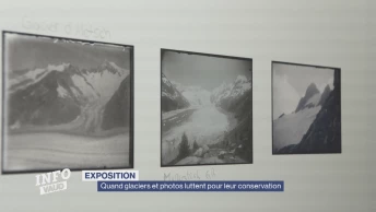 Quand glaciers et photos luttent pour leur conservation