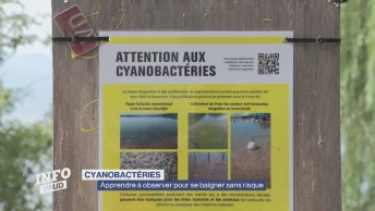 La prévention face aux cyanobactéries