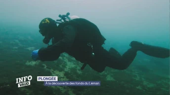 À la découverte des fonds du Léman