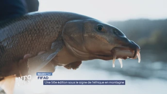 Fifad: Une édition sous le signe de l&#039;éthique en montagne