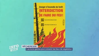 Les bons gestes pour prévenir les feux de végétation