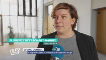 Les grèves dans la fonction publique font réagir les députés