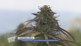 Le projet Cann-L tire un bilan positif après deux ans