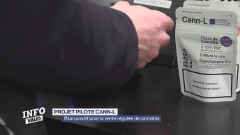 Cann-L: bilan positif pour la vente régulée de cannabis