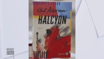 Halcyon