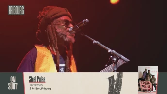 Steel Pulse