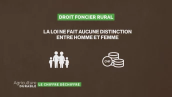 Le chiffre déchiffré - Loi sur le droit foncier rural