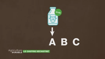 Le chiffre déchiffré - Baisse du prix du lait
