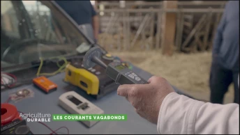 Dossier du mois - Les courants vagabonds