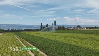 Dossier du mois - L'irrigation