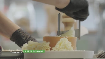 Zoom sur la tête de moine