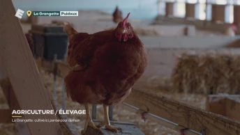 La Grangette: cultivé ici, pensé pour demain