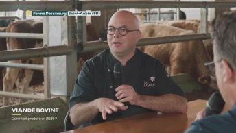 Viande : les producteurs au coeur de l'actualité