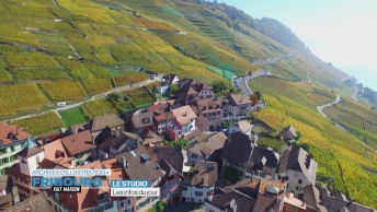 Du terroir fribourgeois à la promotion des vins suisses