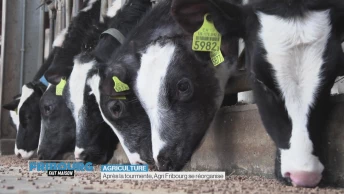 Agri Fribourg veut revenir sur de bons rails