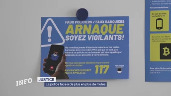 La police face à de plus en plus de mules