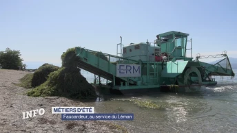 Métiers d'été: faucardeur, au service du Léman